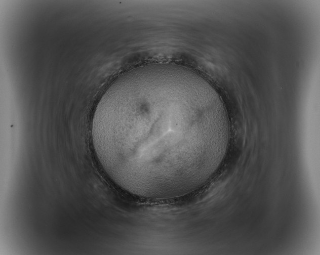 X0000086770769200704201804