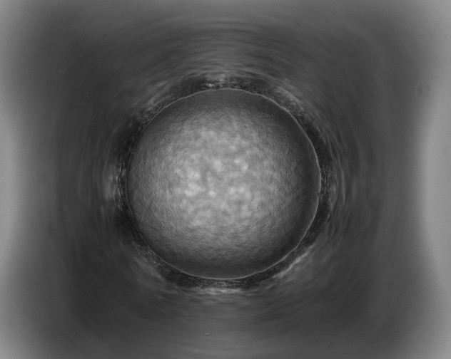 X0000086770770200704201804