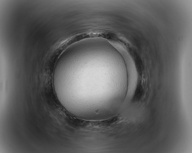 X0000086770773200704201804