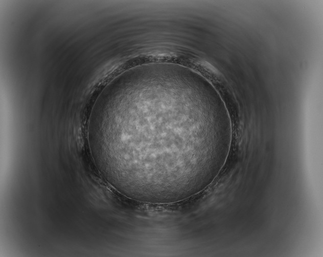 X0000086770774200704201804