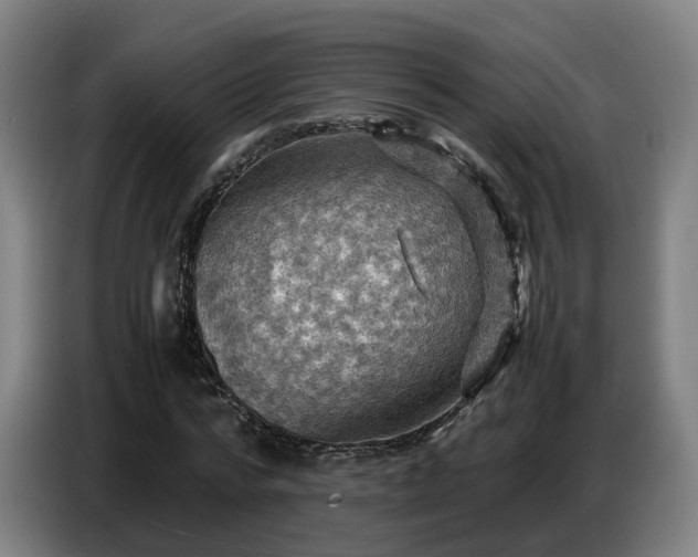 X0000086770776200704201804