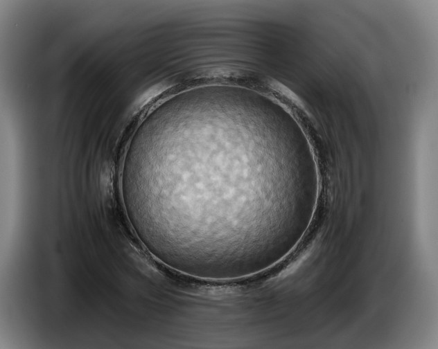 X0000086770778200704201804