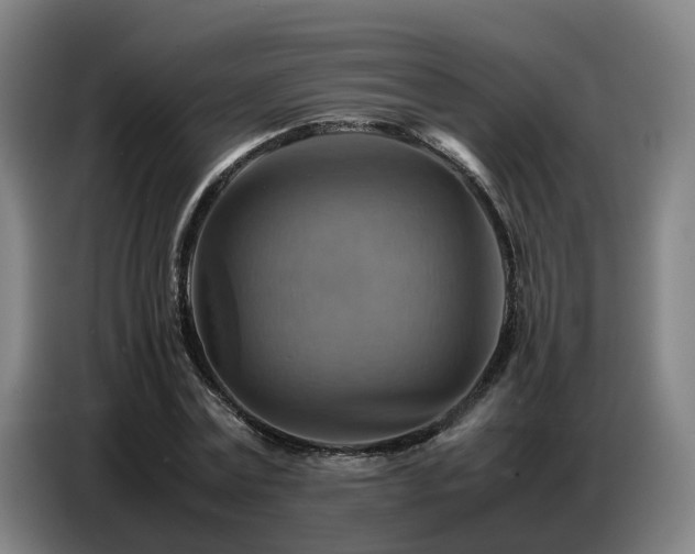 X0000086770779200704201804