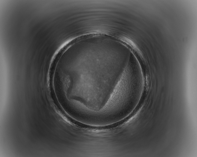 X0000086770780200704201804