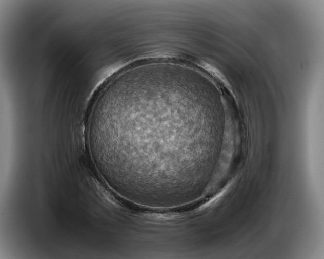 X0000086770781200704201804