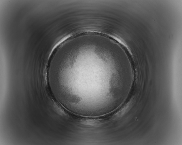 X0000086770782200704201804