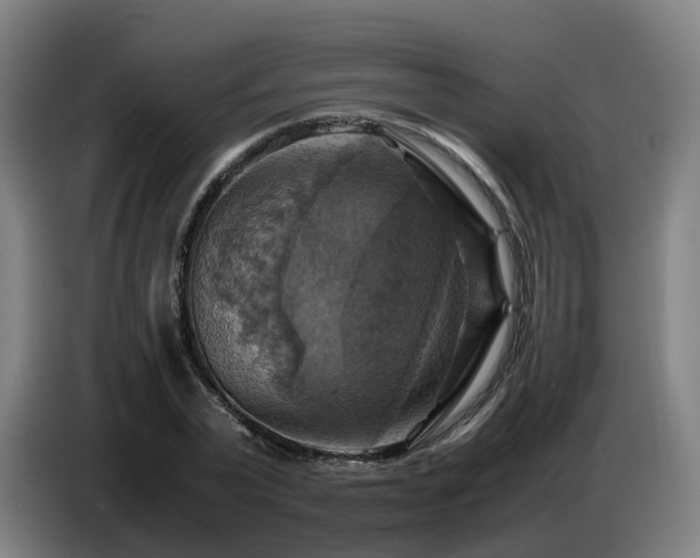 X0000086770783200704201804