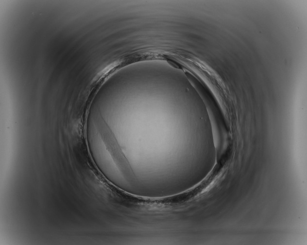 X0000086770785200704201804