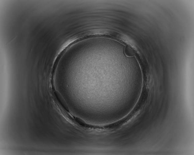 X0000086770786200704201804