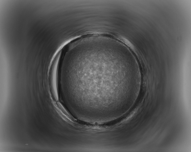 X0000086770787200704201804