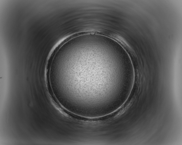 X0000086770788200704201804