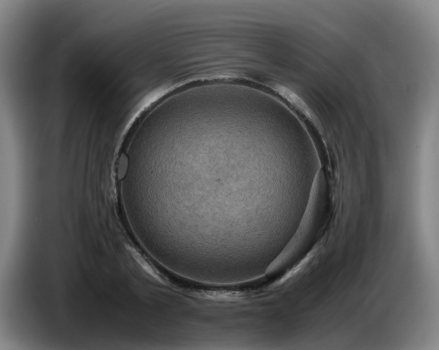 X0000086770789200704201804
