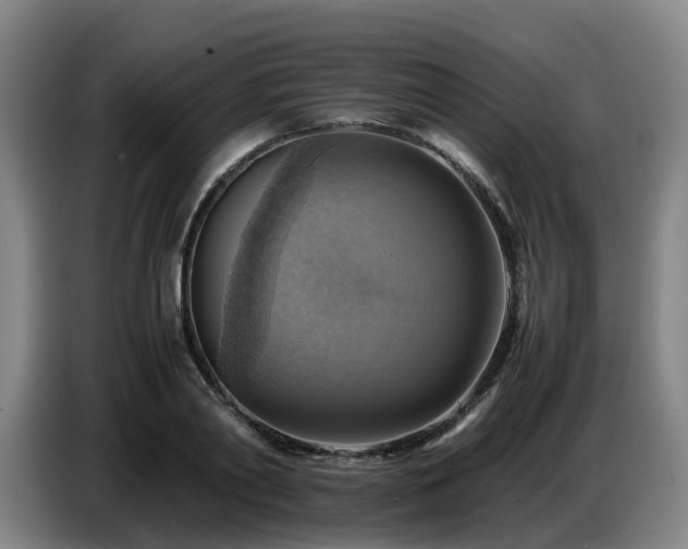 X0000086770790200704201804