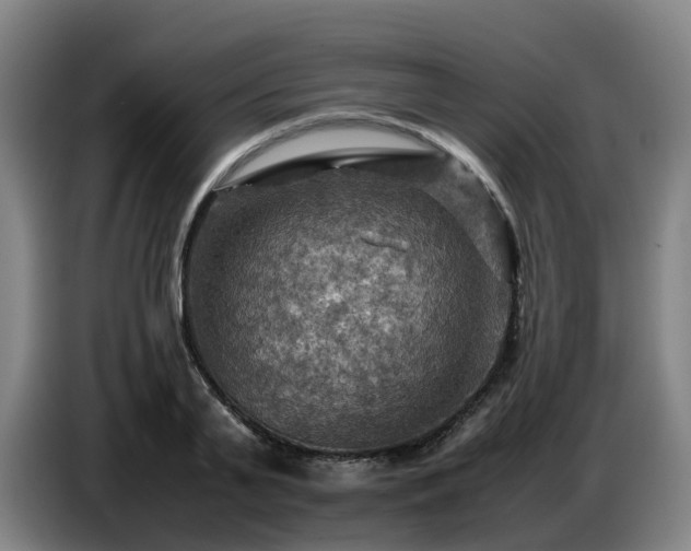 X0000086770791200704201803