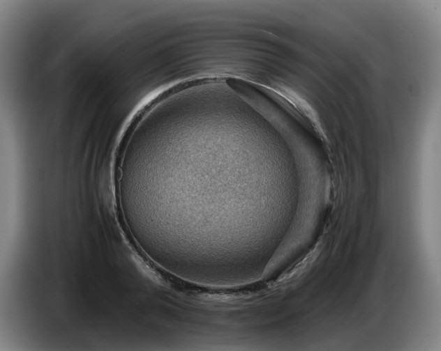 X0000086770792200704201803