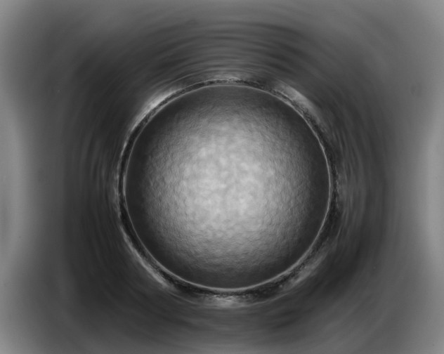 X0000086770794200704201803