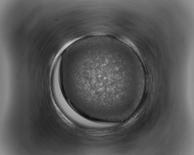 X0000086770795200704201803