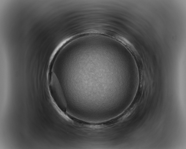 X0000086770796200704201803