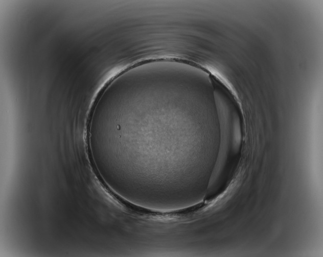 X0000086770797200704201803