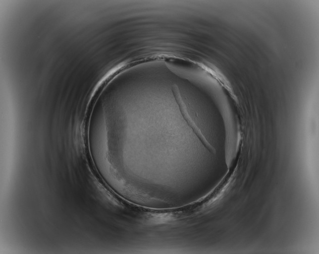 X0000086770798200704201803