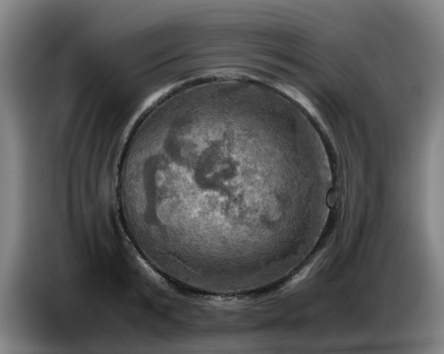 X0000086770799200704201803