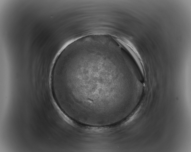 X0000086770803200704201803