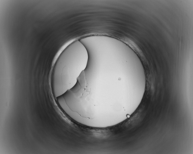 X0000086770804200704201803