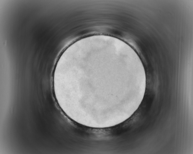 X0000086770807200704201803