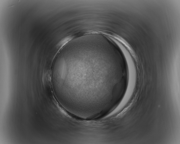 X0000086770809200704201803