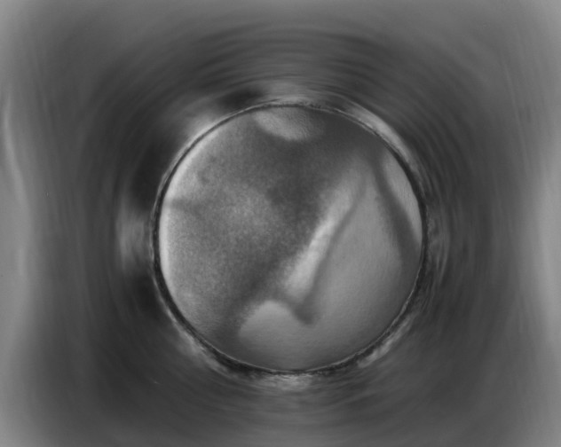 X0000086770810200704201803