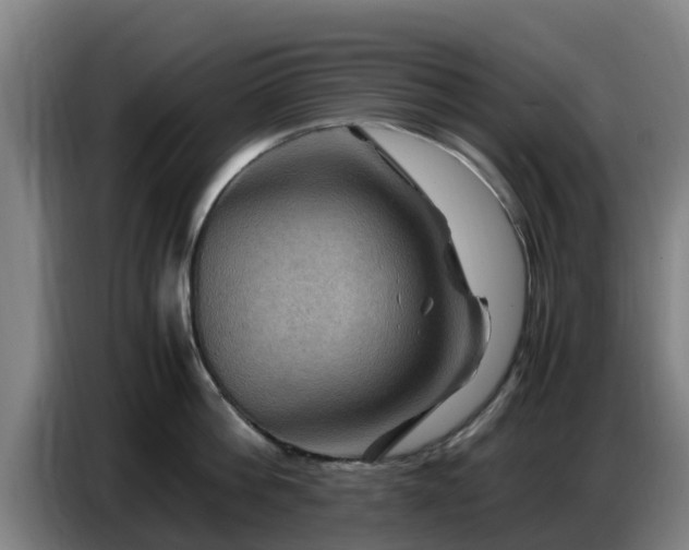 X0000086770812200704201803