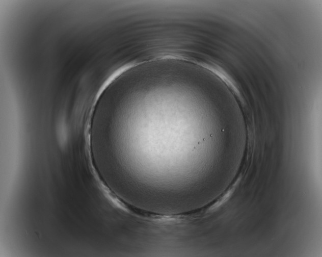 X0000086770814200704201803