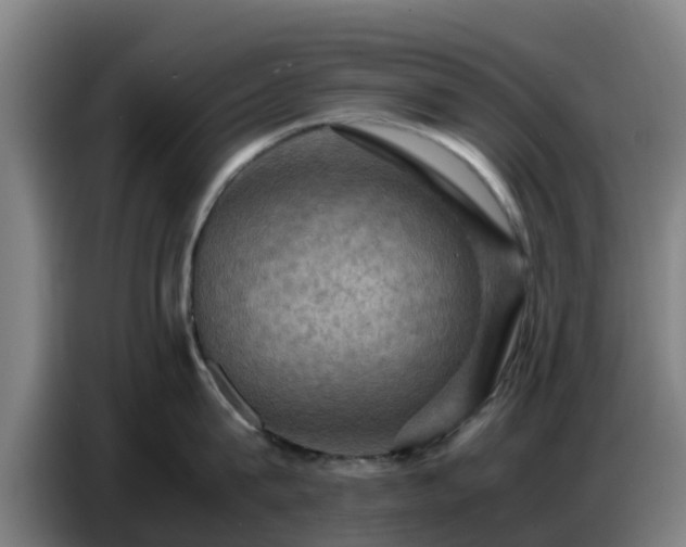 X0000086770815200704201803