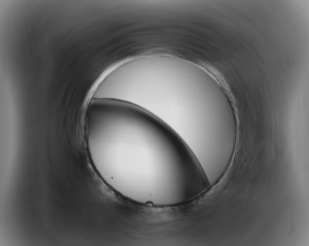 X0000086770816200704201803