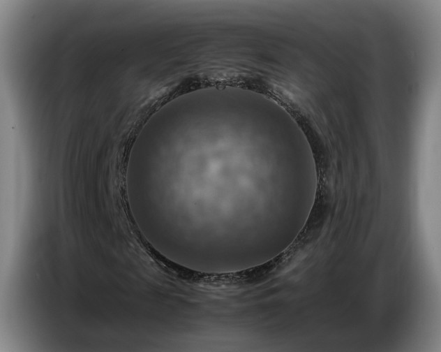 X0000086770817200704201803