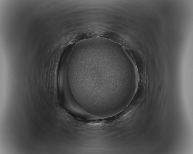 X0000086770818200704201803