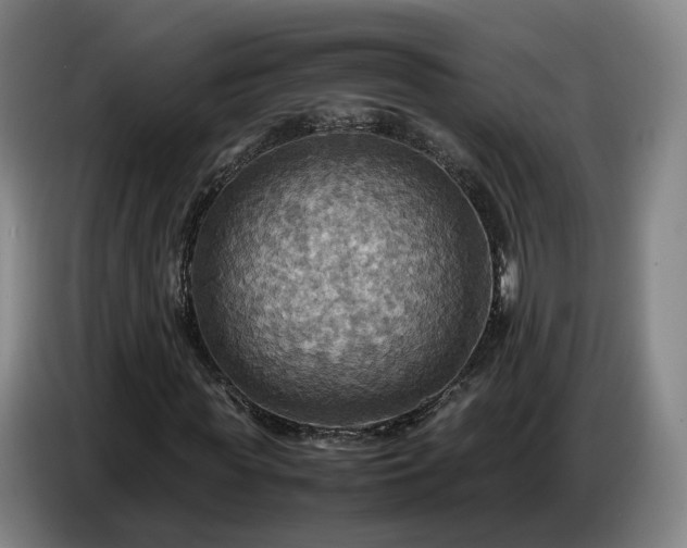 X0000086770819200704201803