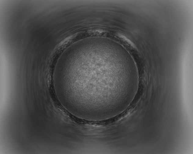 X0000086770821200704201803