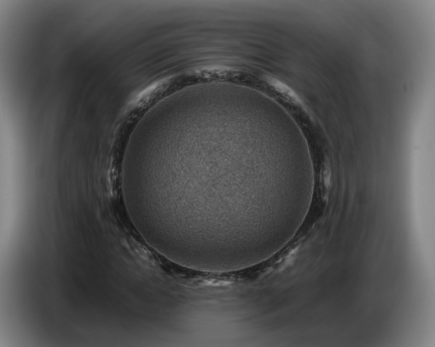 X0000086770822200704201803