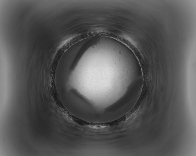 X0000086770823200704201803
