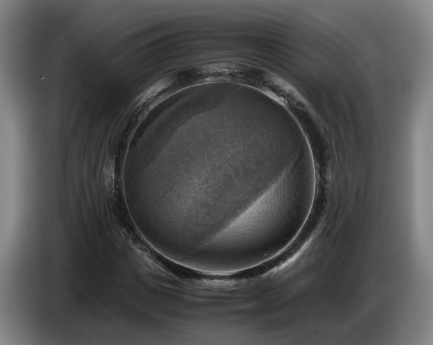 X0000086770825200704201803