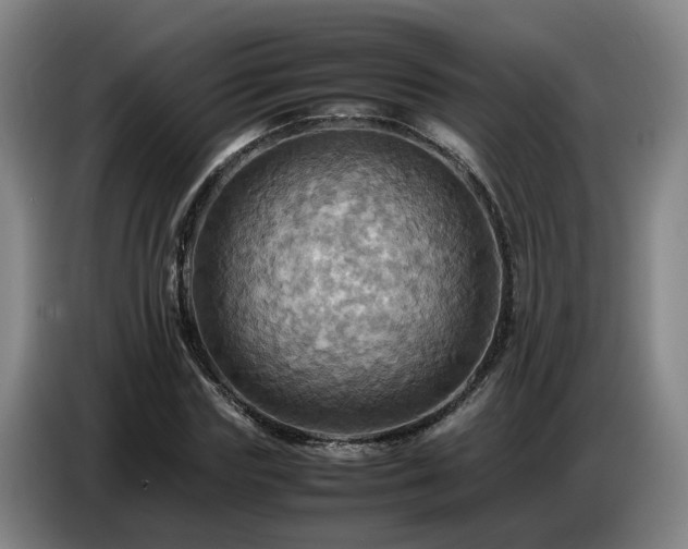 X0000086770827200704201803
