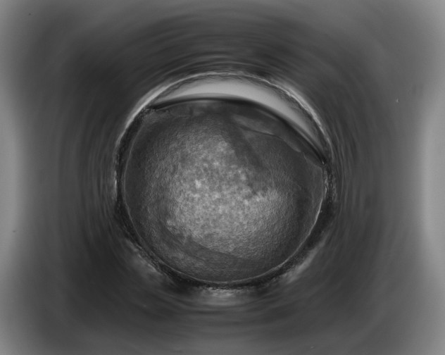 X0000086770829200704201803