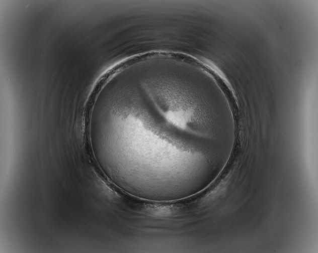 X0000086770831200704201803