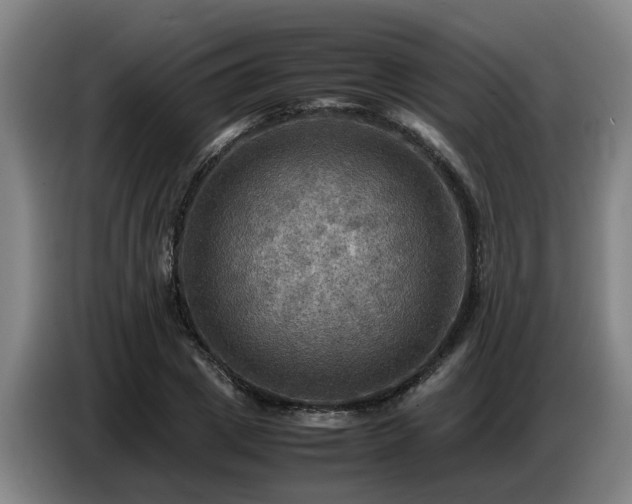 X0000086770833200704201803