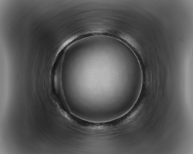 X0000086770834200704201803