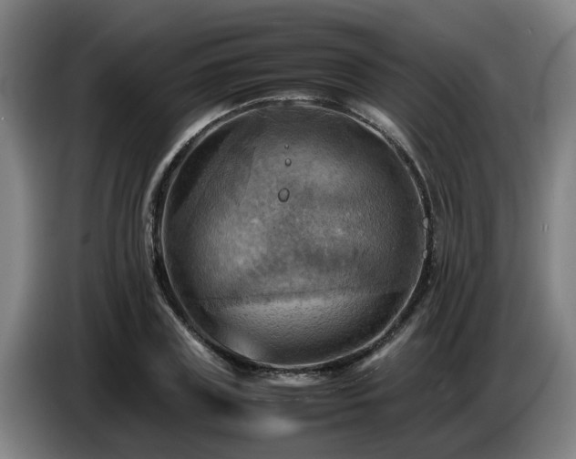 X0000086770835200704201803