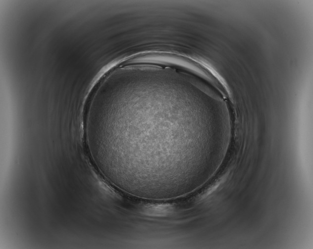 X0000086770837200704201803
