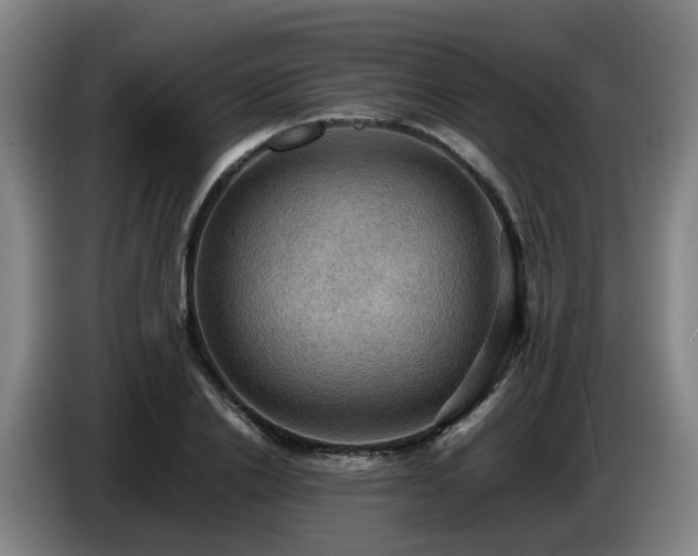 X0000086770838200704201803