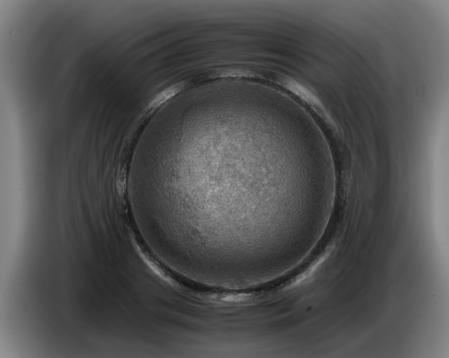 X0000086770841200704201803